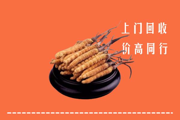 高价求购：藤县区回收散虫草