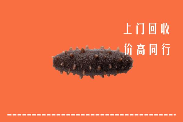 高价求购：藤县区回收海参