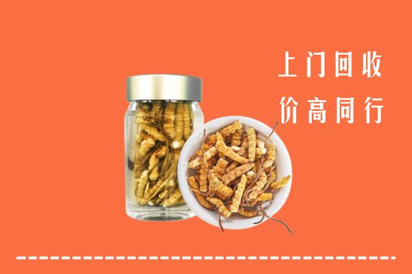 藤县区回收冬虫夏草