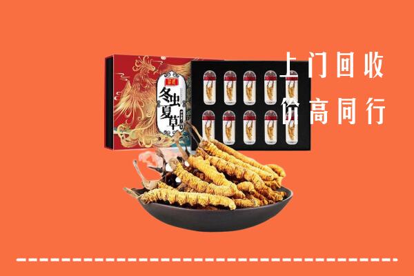 藤县区回收虫草